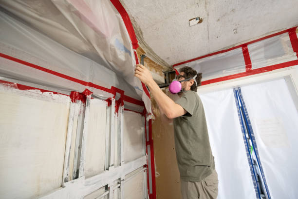 Best Water Damage & Mold Remediation  in Southport, IN
