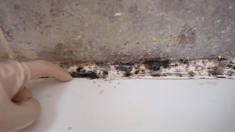 Best Air Quality Testing for Mold Spores  in Southport, IN