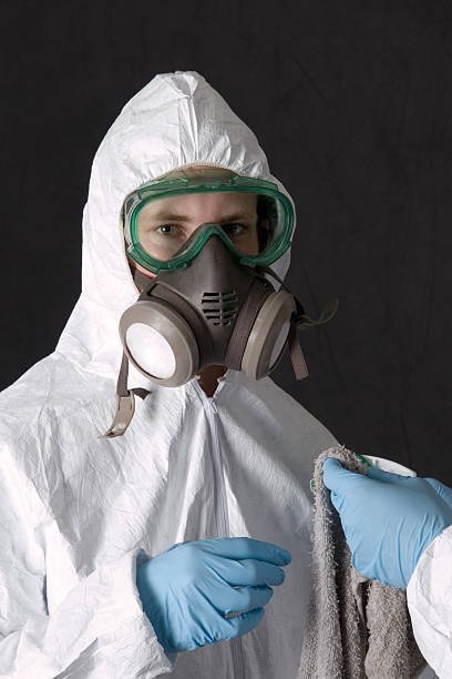 Best Mold Remediation for Healthcare Facilities  in Southport, IN